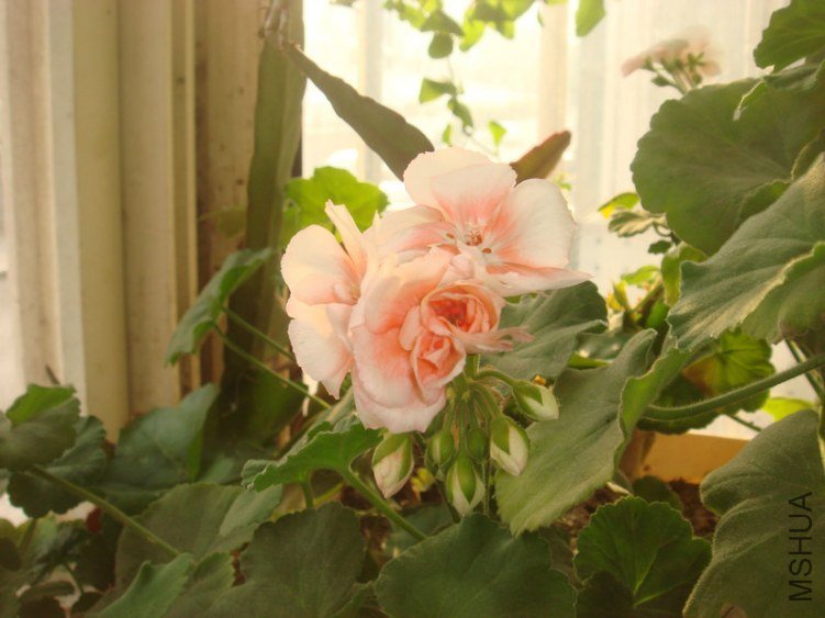 DSC04873.JPG