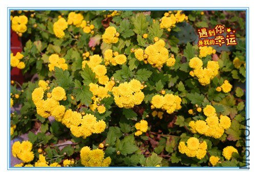 ��Ƭ 046_����.jpg