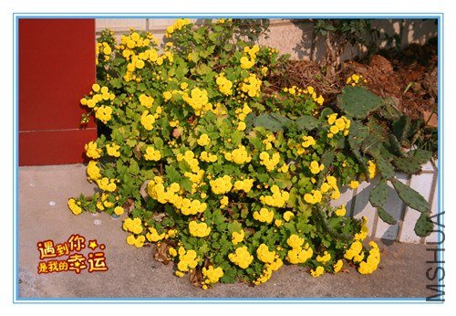 ��Ƭ 041_����.jpg