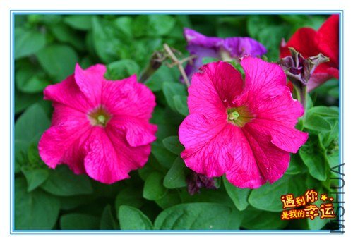 ��Ƭ 017_����.jpg