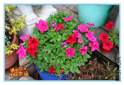 ��Ƭ 013_����.jpg