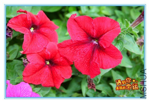 ��Ƭ 015_����.jpg