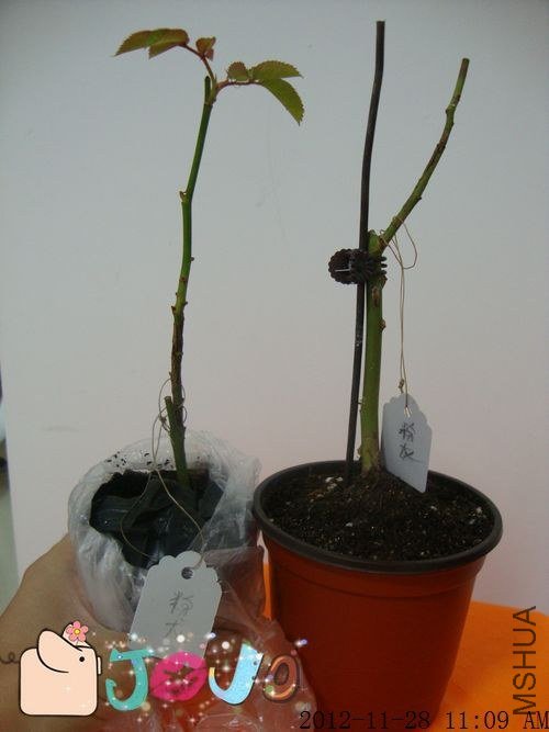 ���һ����ĶԱ�