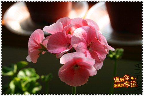 ��Ƭ 032_����.jpg