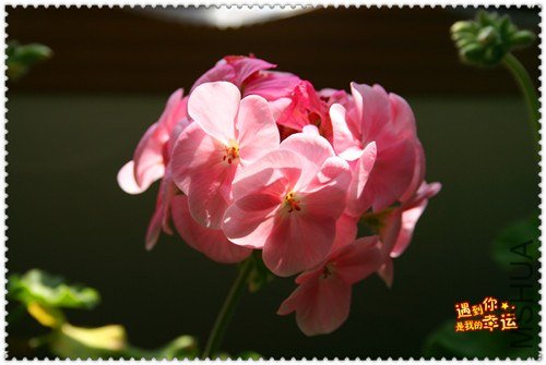 ��Ƭ 031_����.jpg