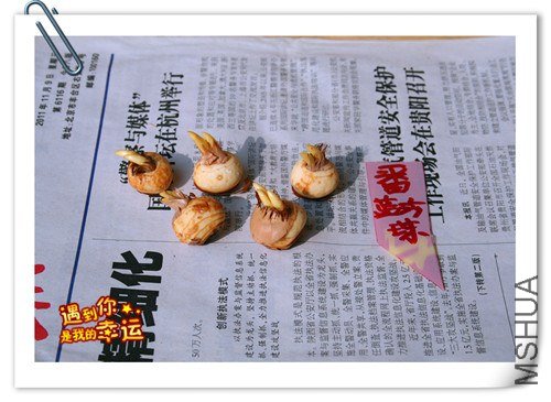 ��Ƭ 009_����.jpg