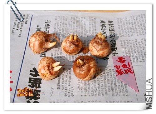 ��Ƭ 001_����.jpg