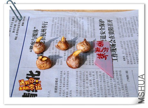 ��Ƭ 003_����.jpg