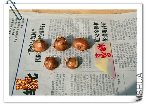 ��Ƭ 005_����.jpg