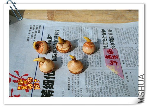 ��Ƭ 008_����.jpg