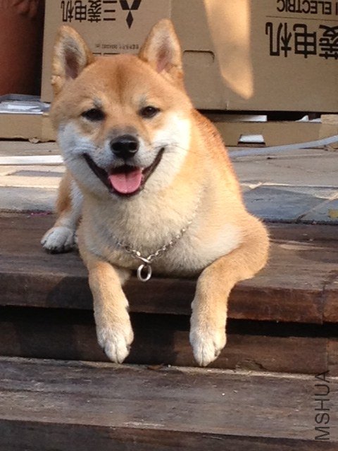 �ǰ�20121023 002.JPG