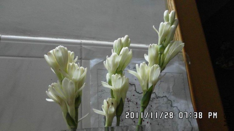 ������С SAM_0576.JPG