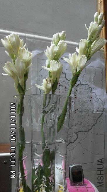 ������С ��ת SAM_0573.JPG