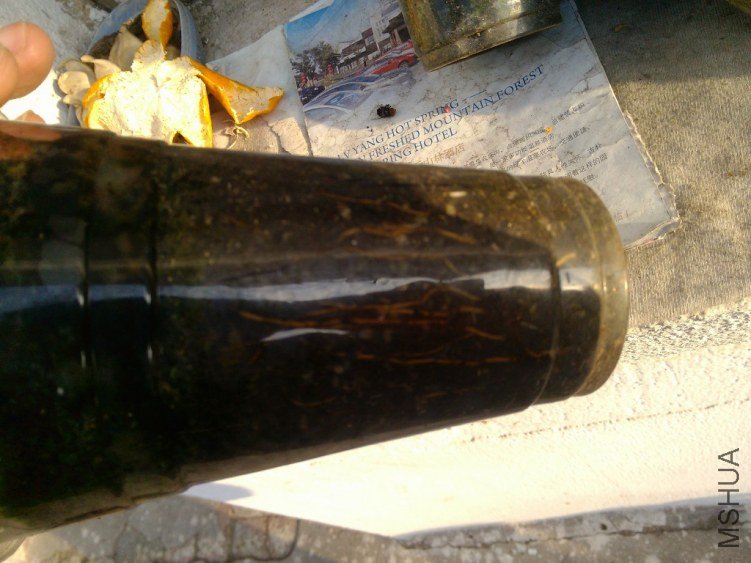 C360_2012-11-28-07-58-44.jpg