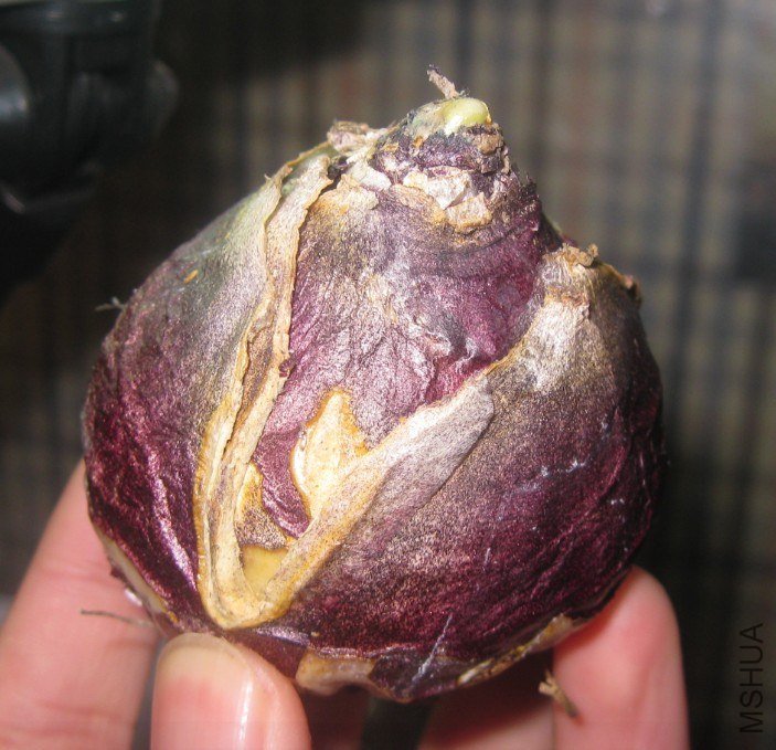 QQ��ͼ20121128232941.jpg