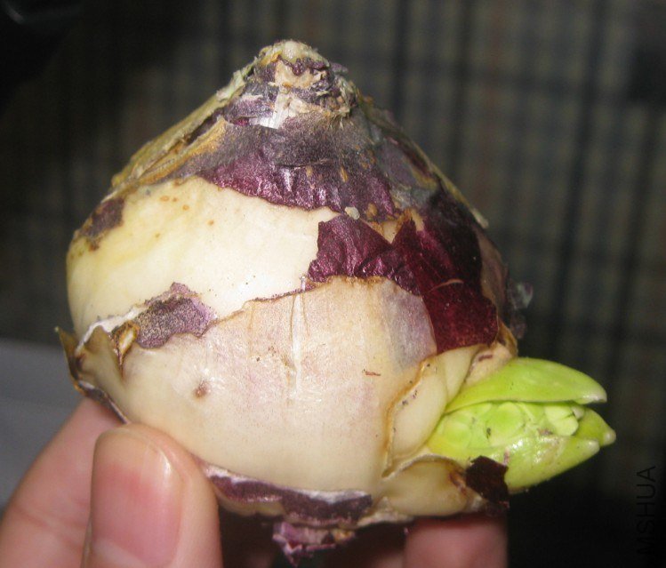 QQ��ͼ20121128232953.jpg
