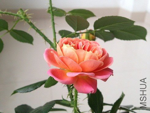 3.JPG