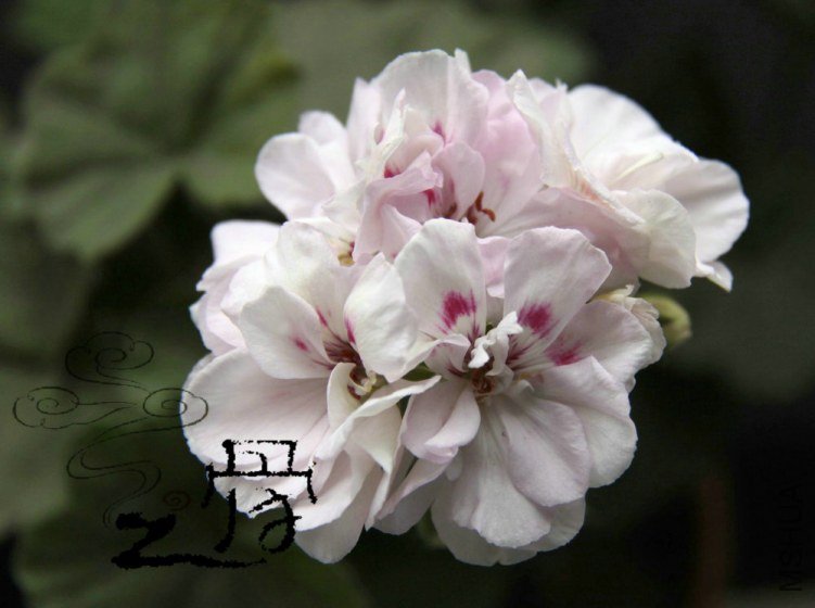 �۹��� 02.jpg