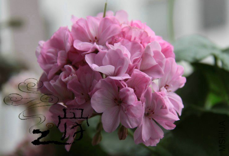 �ջ��� 01.jpg