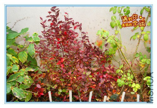 ��Ƭ 028_����.jpg