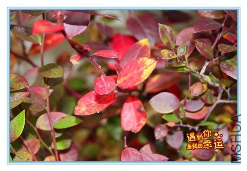 ��Ƭ 029_����.jpg