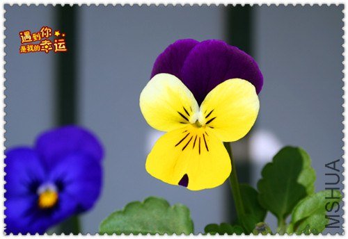 ��Ƭ 090_����.jpg