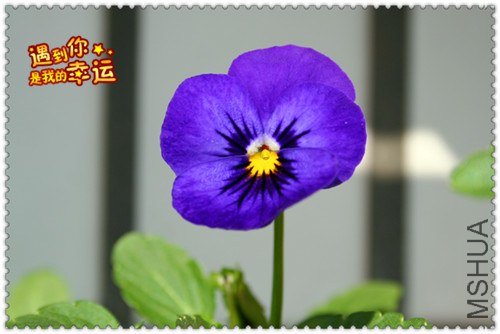 ��Ƭ 091_����.jpg