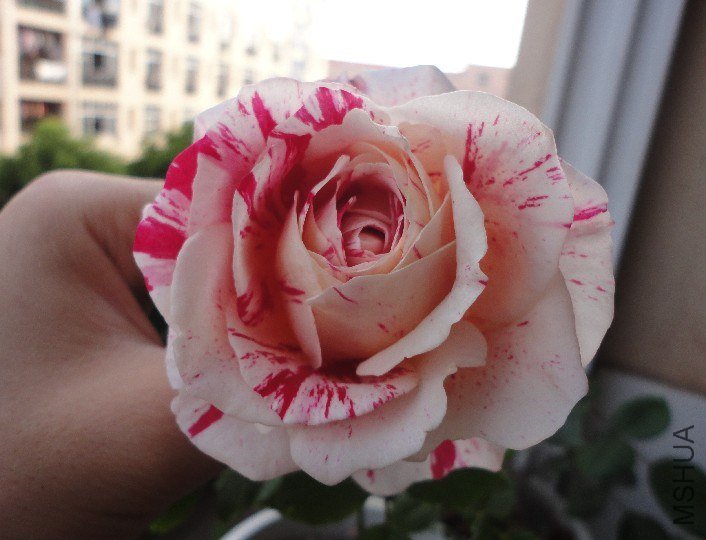8D~%`$[N8H21441MKHK5B(A.jpg