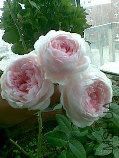 20121026.jpg