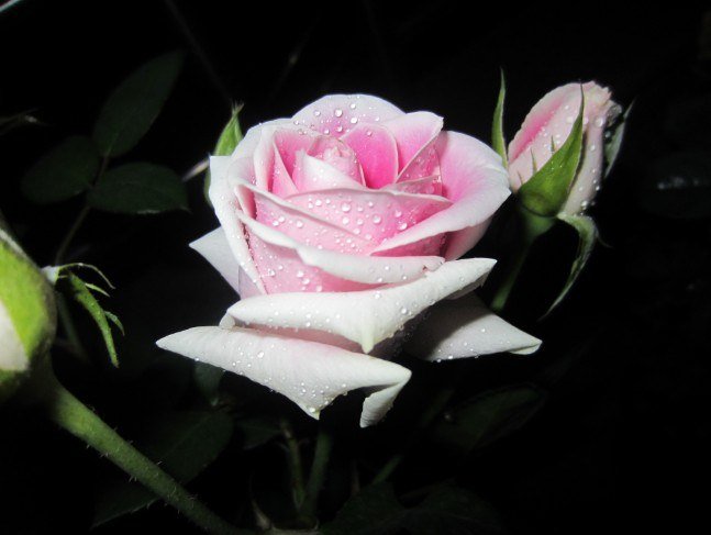 QQ��ͼ20121129225544.jpg
