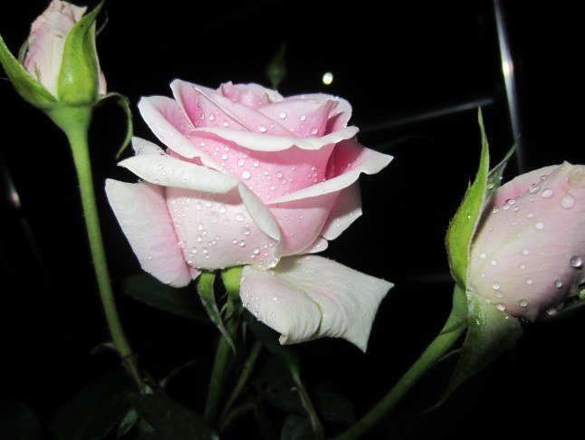 QQ��ͼ20121129225553.jpg