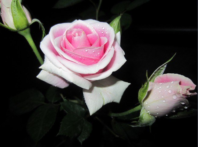 QQ��ͼ20121129225603.jpg