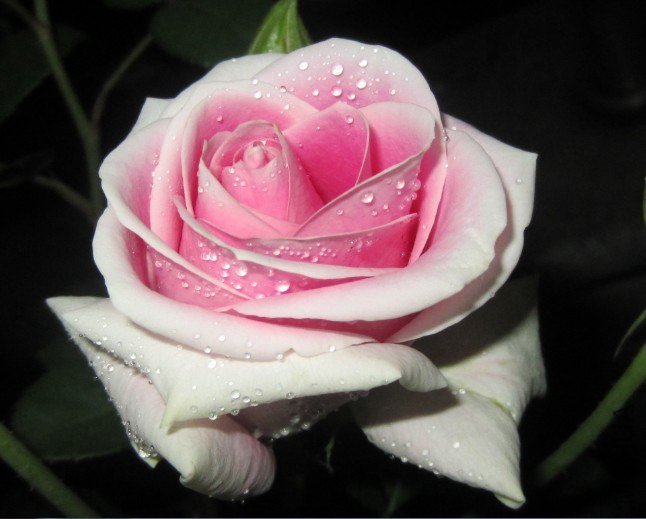 QQ��ͼ20121129225654.jpg