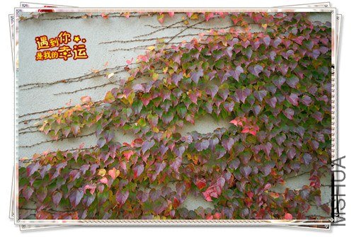 ��Ƭ 051_����.jpg