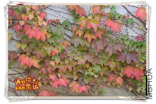 ��Ƭ 047_����.jpg