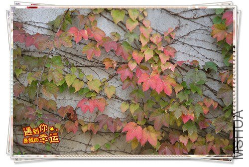 ��Ƭ 048_����.jpg