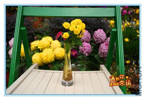 ��Ƭ 037_����.jpg