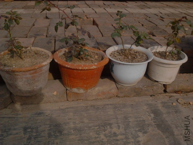 20121130L0176.jpg