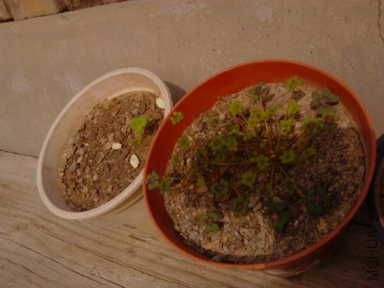 20121130L0172.jpg