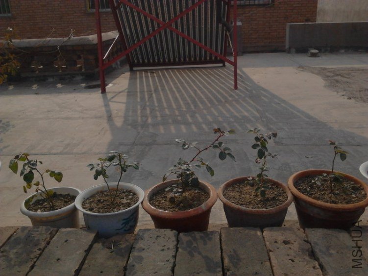 20121130L0177.jpg