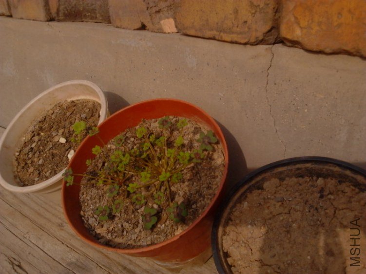 20121130L0173.jpg
