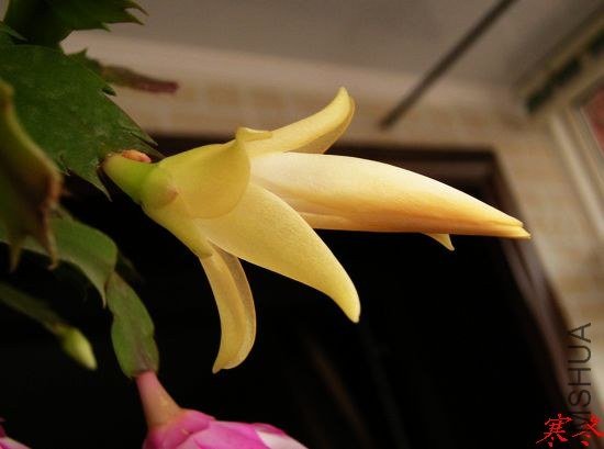DSCN5444.jpg