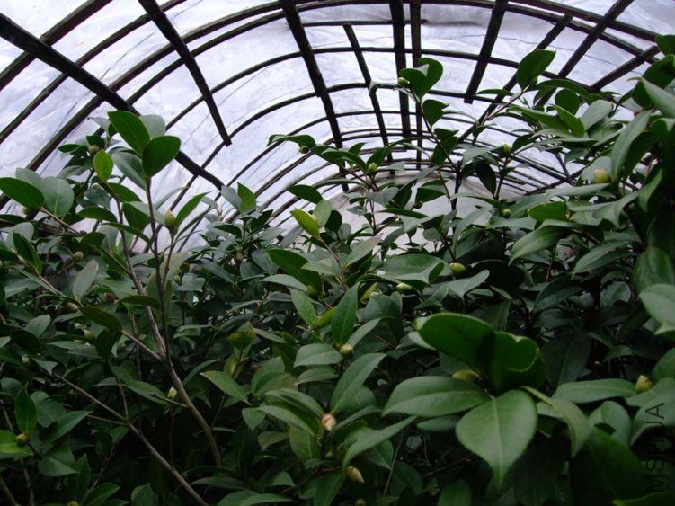 ���� 2012-11-30 025.jpg
