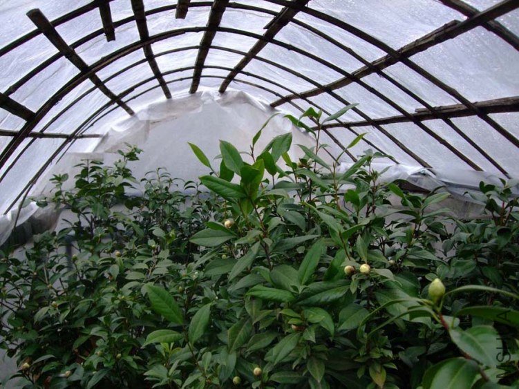 ���� 2012-11-30 028.jpg