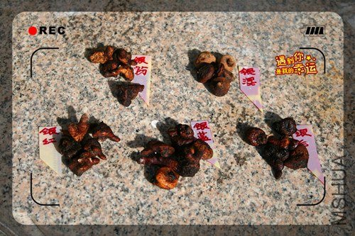 ��Ƭ 003_����.jpg