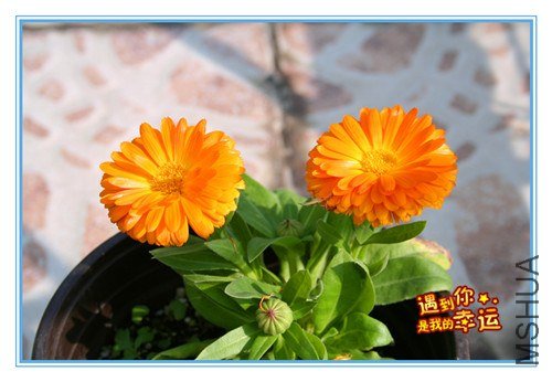 ��Ƭ 074_����.jpg