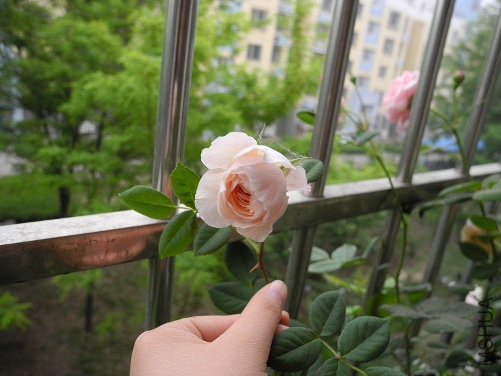 _SCN6983.JPG