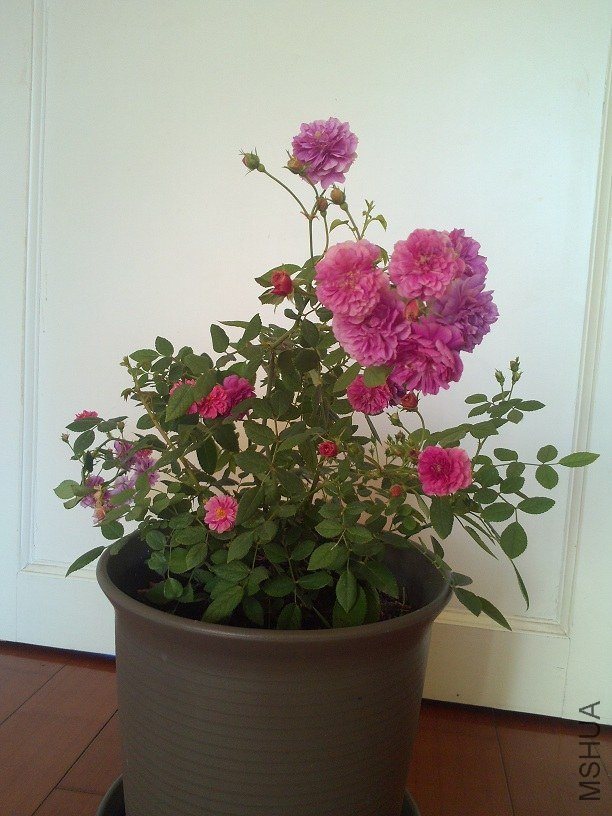 ˭˵��̨�岻��