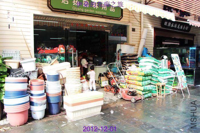 nEO_IMG_��Ƭ 160.jpg