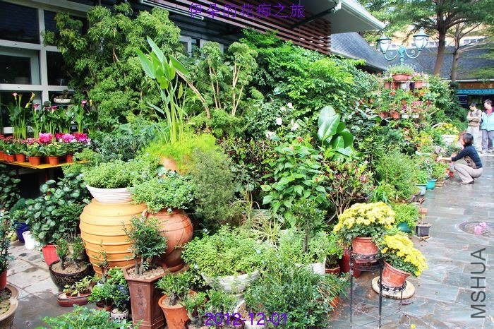 nEO_IMG_��Ƭ 158.jpg